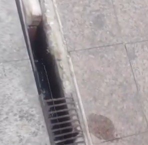 Mais um acidente é flagrado no calçadão de Macaé - A falta de fiscalização seria a culpa?